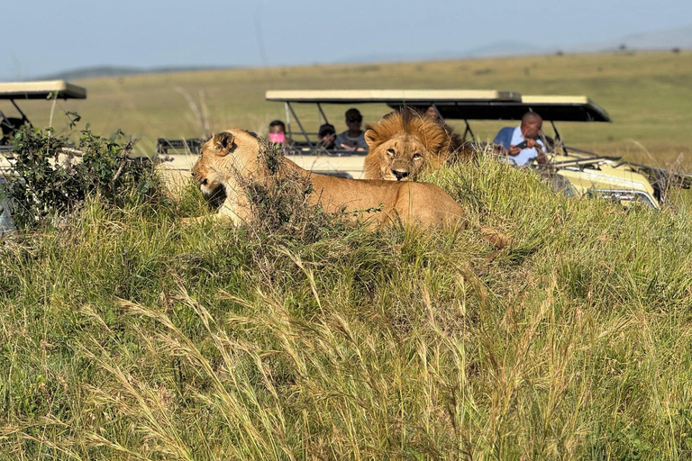 Parque Nacional de Amboseli: safari de 2 días y 1 noche