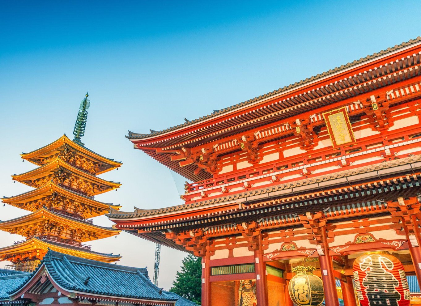Tokyo: Kursus i rulning og tilberedning af autentisk sushi i Asakusa