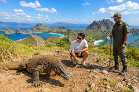 Labuan Bajo: Komodo Tour 11 Stops Rangko Cave & Night Market 2 Days 11 Stops Komodo Island + Rangko Cave + Night Market