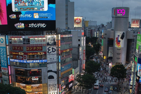 Tour de día completo por la ciudad de Tokio con recogida y regreso