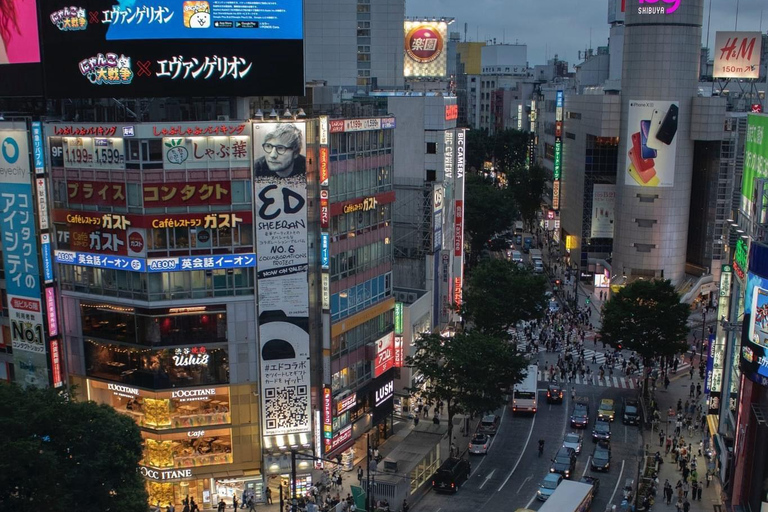 Tour de día completo por la ciudad de Tokio con recogida y regreso