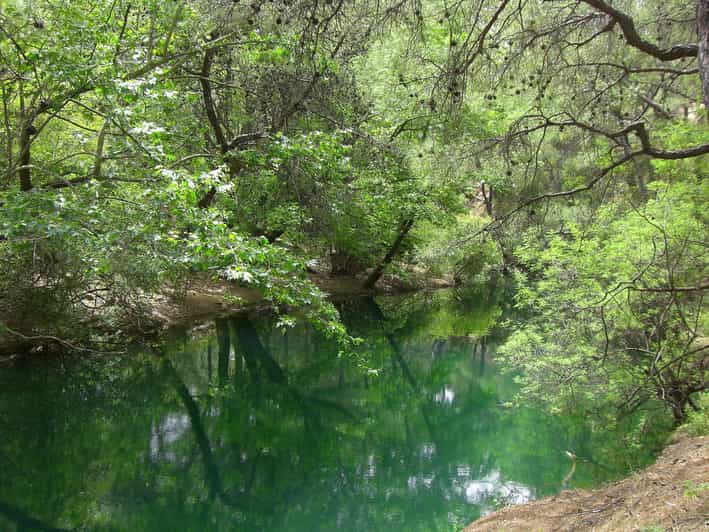Rhodes: Guided Tour with Wine Tasting & Butterfly Valley
