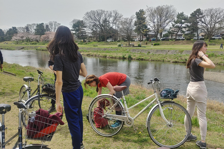 Kioto:Recorrido en Bicicleta por los Tres Jardines