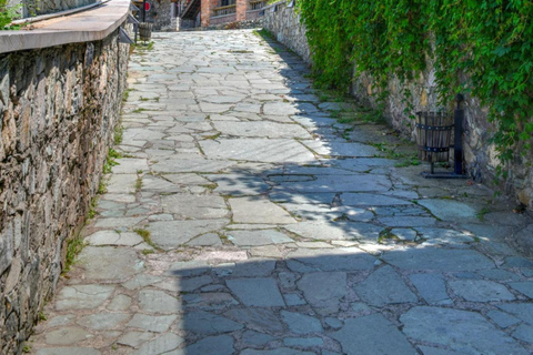 Armenia Day Tour: Dmanisi, Sevan & Yerevan