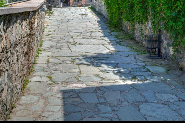 Armenia Day Tour: Dmanisi, Sevan & Yerevan