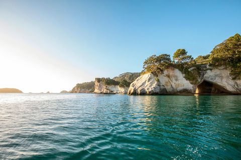 COROMANDEL CATHEDRAL COVE E DRIVING CREEK - TOUR PRIVATO DI UN GIORNO