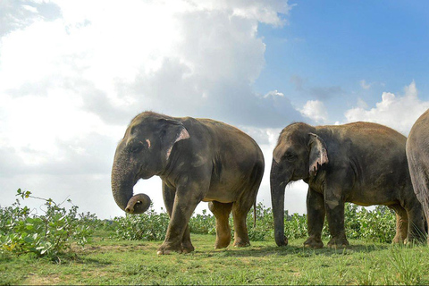 Agra: Taj Mahal Sunrise & Ethical Elephant Conservation Tour Guide Only