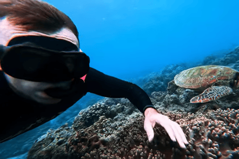 Cebú:Excursión en grupo con tiburón ballena, cascada y carrera de sardinas+Comida