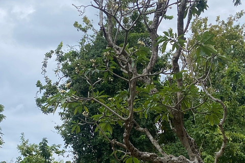 Ciudad de piedra y prisión Isla