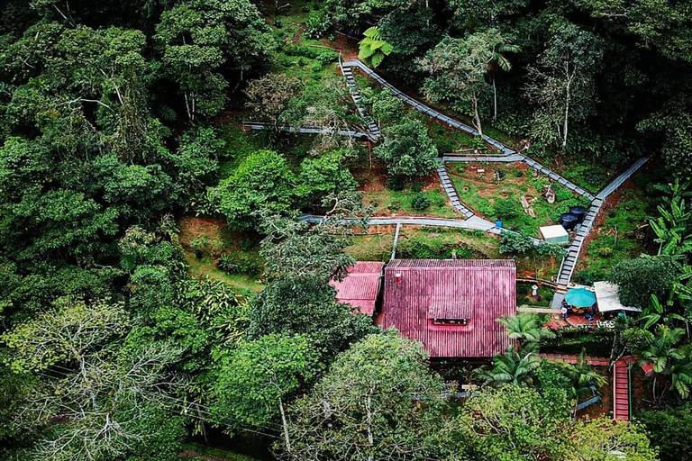 Excursão a pé pela natureza e observação de aves no KM18