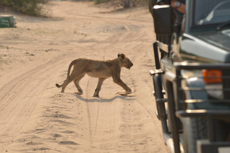 Chobe National Park & Victoria Falls Day Trip