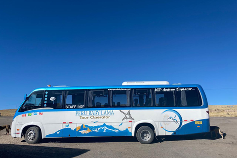 CANYON DEL COLCA CON GUIDA IN LINGUA INGLESE IN UN GIORNO DI TOUR