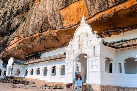 Sigiriya Rock, Dambulla Cave & Cart Rides One Day Trip Luxury Tour from Colombo, Negombo or Mount Lavinia