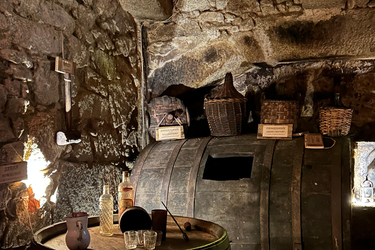 Experiencia única en una bodega medieval con cata de vinos