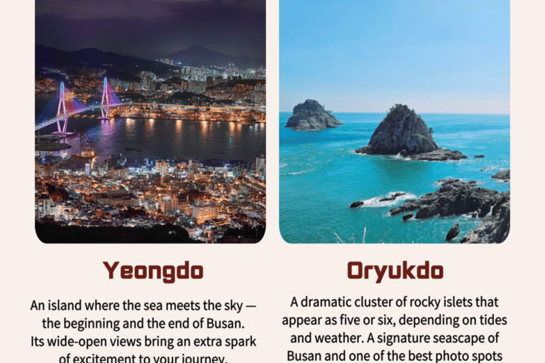 PanStar Busan Coastline Cruise & Sunset & Fireworks