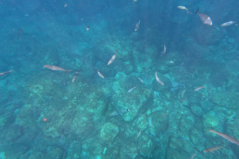 Tenerife: Kayak & Snorkeling Tour - Small Groups