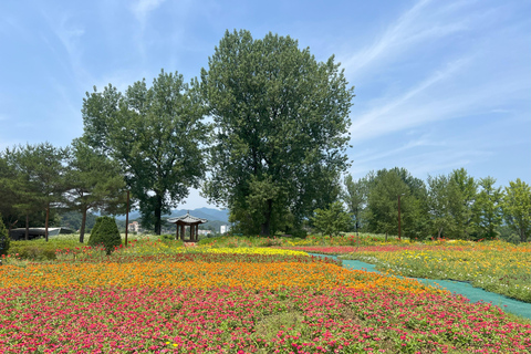 Wycieczka 1-dniowa do Gapyeong: rejs po rzece do Jarasum Flower Festa