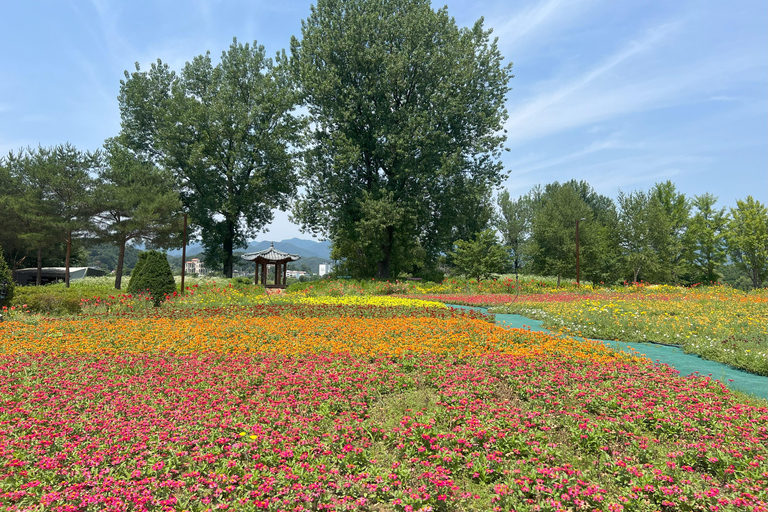 Excursión de un día a Gapyeong: crucero por el río hasta la fiesta de las flores de JarasumExcursión de un día a Gapyeong: Crucero por el río hasta la Fiesta de las Flores de