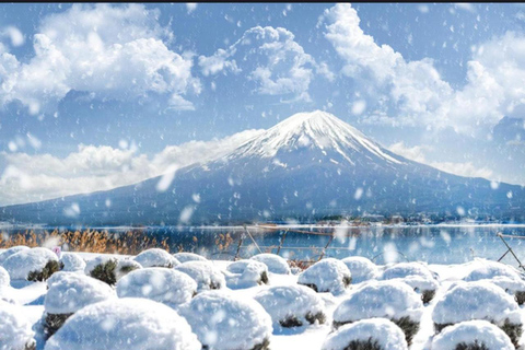 Tokyo: Private Daytrip to Mount Fuji - Fully Customizable Mt Fuji Private Luxury Van Tour (Customizable Experience)