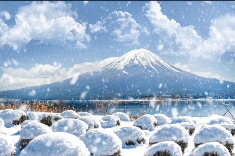 Tokyo: Private Daytrip to Mount Fuji - Fully Customizable Mt Fuji Private Luxury Van Tour (Customizable Experience)