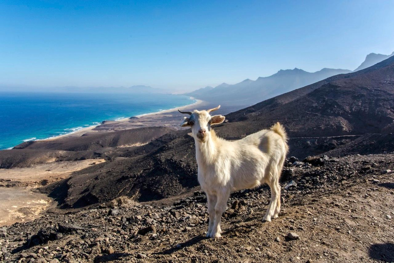 Fuerteventura: Tradition, Villages, and Landscapes