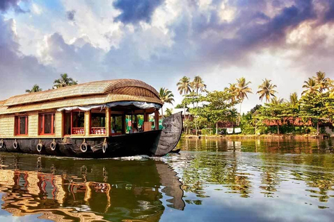 Kerala: Tour di 8 giorni con Munnar, Thekkady e Kovalam