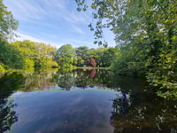 Dublin, Dublin City hebt die private geführte Wanderung auf - Housity