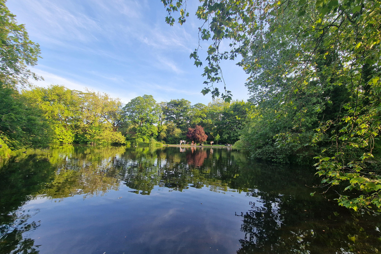 都柏林：都柏林市亮点私人导游徒步之旅意大利语私人旅游