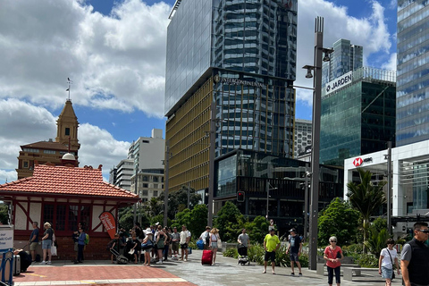 Auckland City To Auckland Airport Premium Transfer