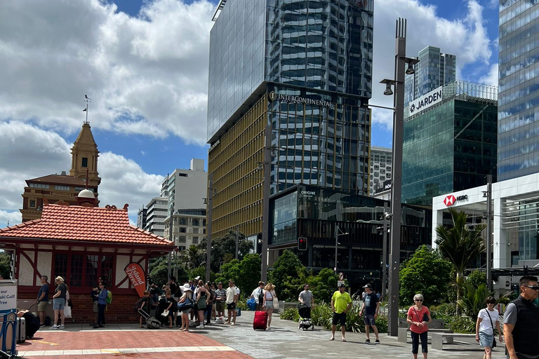 Auckland City To Auckland Airport Premium Transfer