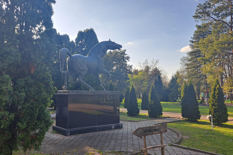 From Belgrade: Visit Subotica and stunning Zobnatica Stables