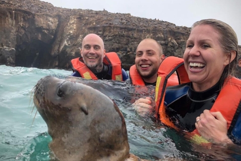 Palomino Eilanden speedbootexcursie & zwemmen met zeeleeuwen
