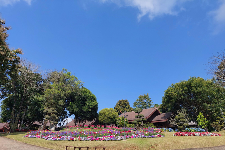 Chiang Rai: Mountains Discovery Doi Mae Salong & Doi Tung Mountains Discovery:Doi Mae Salong & Doi Tung (Private Tour)