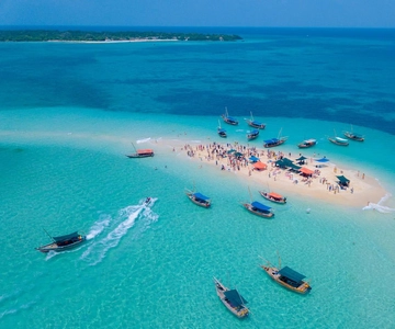 ZANZIBAR: Un'esperienza indimenticabile di safari nell'oceano con pranzo