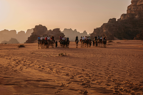 Wadi Rum: Desert Horseback Ride Experience with Lunch