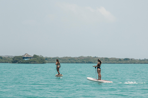 Cartagena: Efoil Fliteboard Experience BARÚ Barú, Cartagena: Efoil Fliteboard Experience