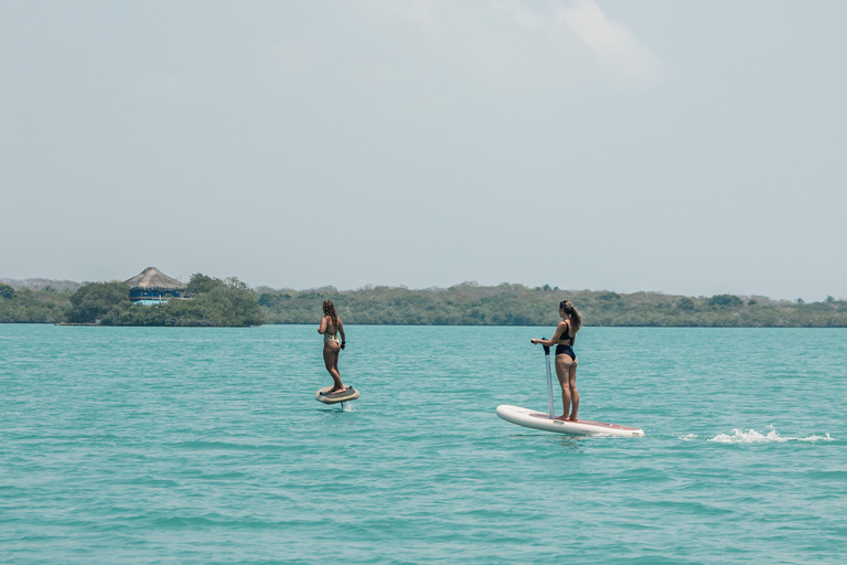 Cartagena: Efoil Fliteboard Experience BARÚ Barú, Cartagena: Efoil Fliteboard Experience