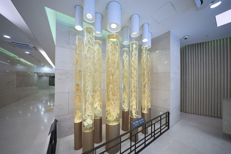 Seul: Aldeia de Bukchon, Gyeongbokgung, Mercado GwangjangSeul: Aldeia Bukchon, Gyeongbokgung, Mercado Gwangjang