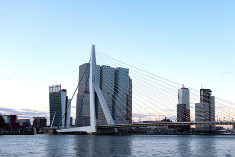 Rotterdam: Tour a pie gratuito todo en uno