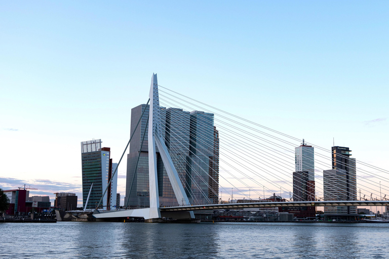 Rotterdam : Visite à pied gratuite tout-en-un