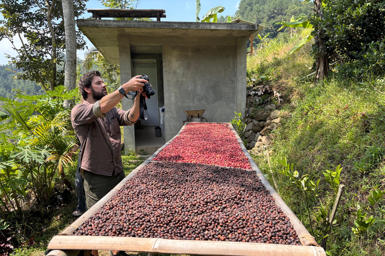 يوغياكارتا: جولة شاملة مع مرشد سير في تراس الأرزيوجياكارتا: جولة شاملة على مدرجات الأرز مع مرشد