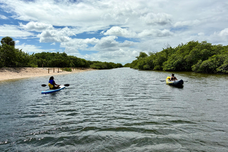 Fort Lauderdale: Kayak & Paddleboard Mangroves Eco Adventure