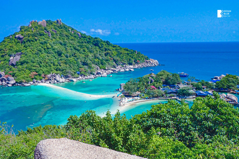 Koh Tao: Snorkel with Turtles at Nangyuan with Fewer Crowds