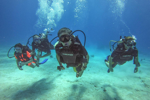 Private: Punta Cana Catalina Island Scuba Diving & Beach Day
