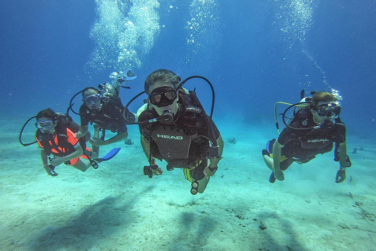 Private: Punta Cana Catalina Island Scuba Diving & Beach Day