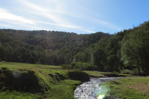 San Martin de los Andes Sightseeing Tour: Mallin Grande