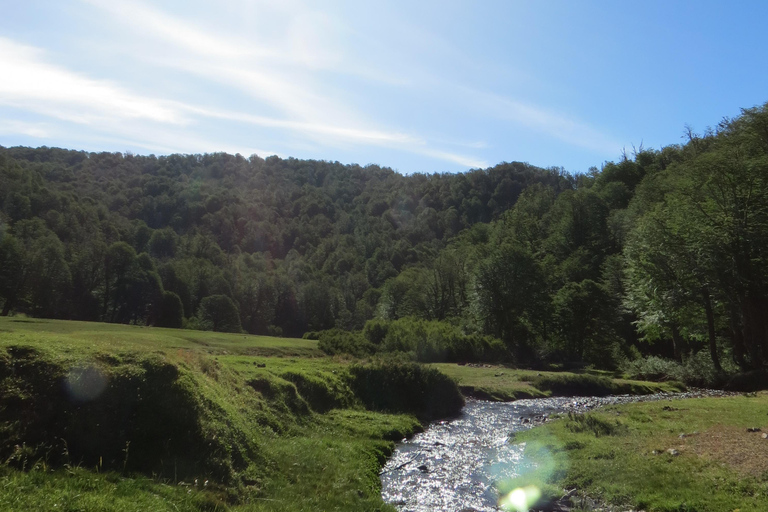 San Martin de los Andes Sightseeing Tour: Mallin Grande