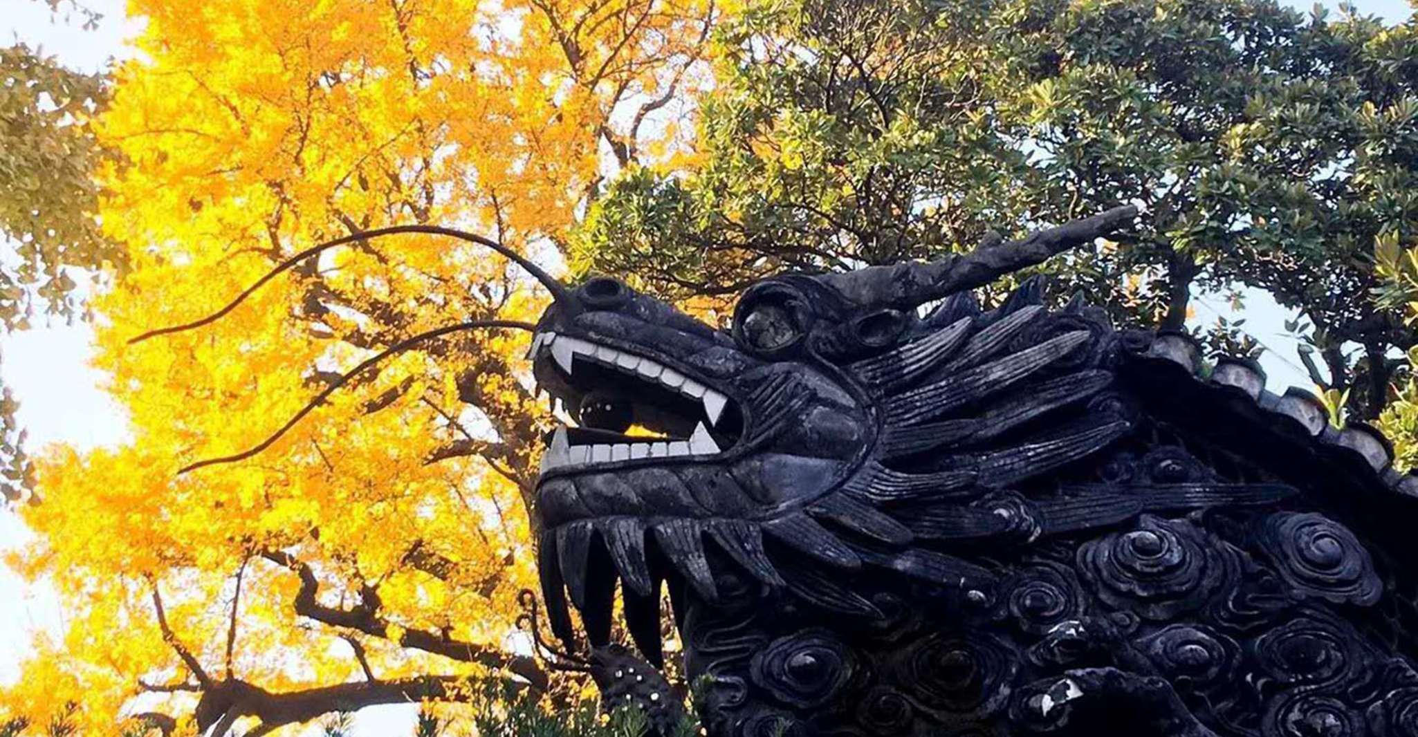 Shanghai: Yu Garden and City God Temple Walking Tour photo 4