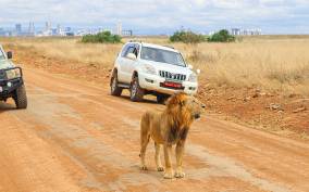 Nairobi: National Park Private Tour in a 4x4