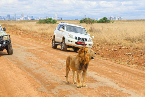 Privérondleiding door het Nairobi Nationaal Park